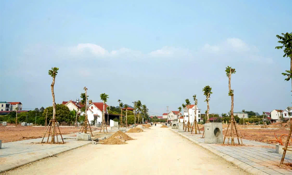 Công bố danh mục thủ tục hành chính được chuẩn hóa trong lĩnh vực đất đai